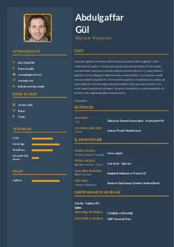 Bilgisayar Programcısı CV Örnekleri cv indir